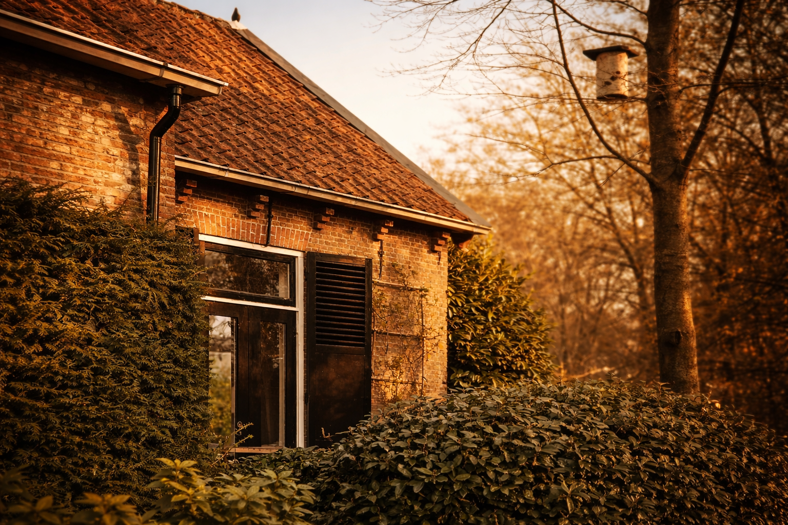 Sfeervolle tuin van B&B De Bonte Boel